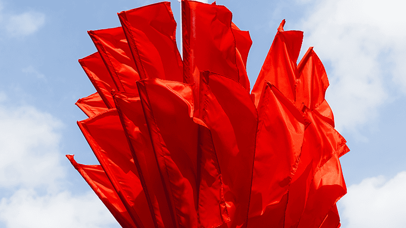 Bunch of red flags