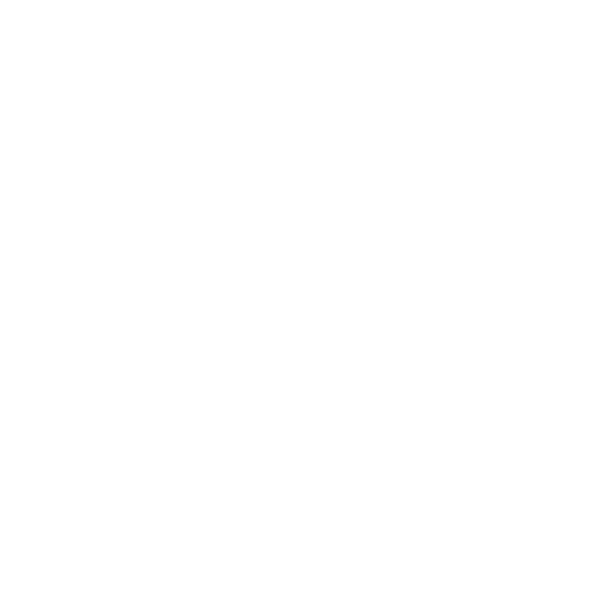 Accessibility Icon