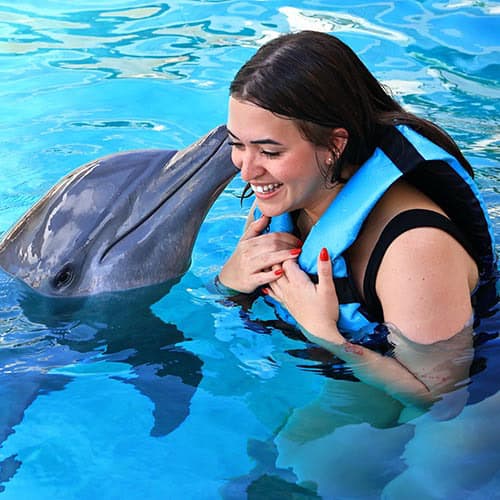 Genesis with dolphin